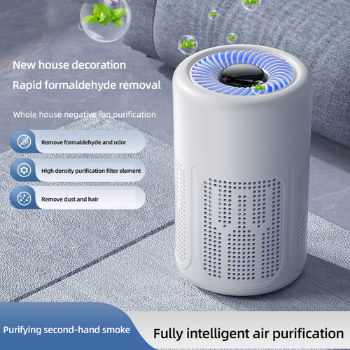 Air purifier for removing smoke and odor household indoor odor removal negative ion purifier