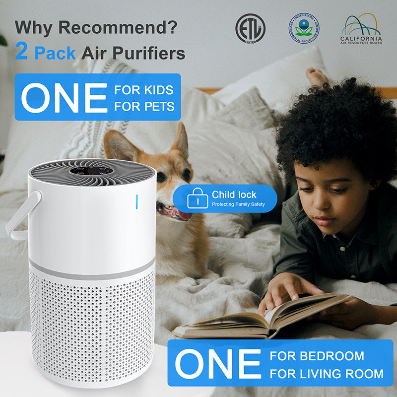 Air purifier for office and household use air freshener for deodorization automatic purifier for formaldehyde removal